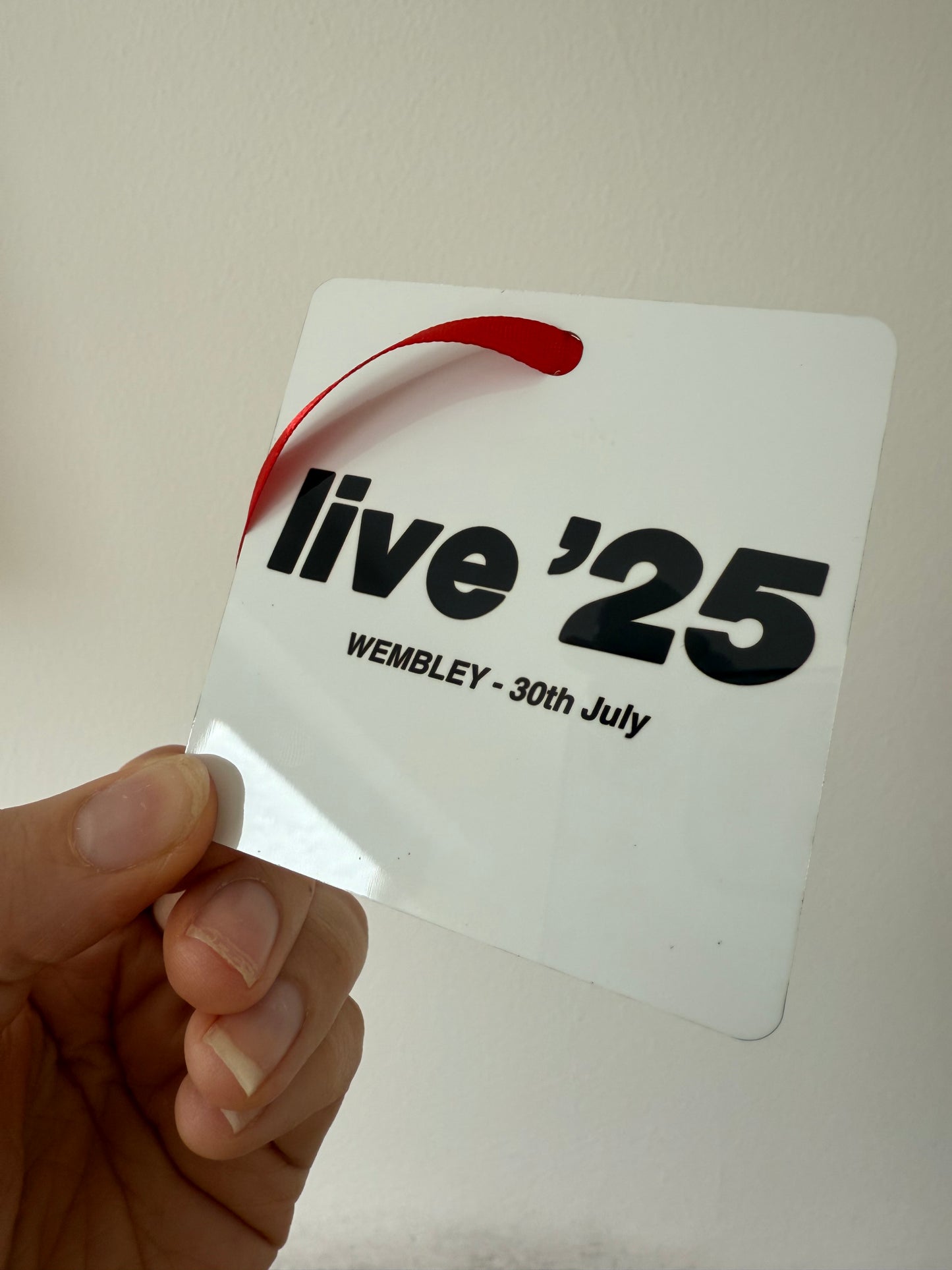 Custom Live ‘25 ornament. Oasis tour. Liam and Noel Gallagher