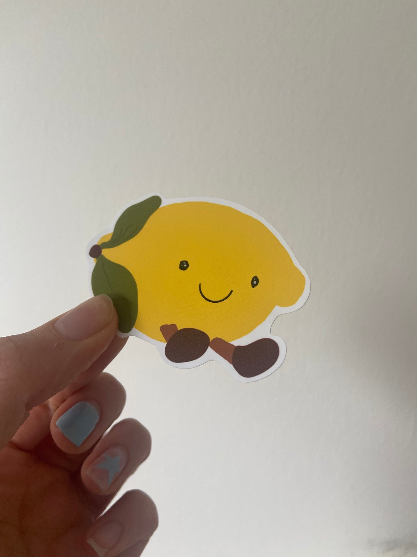 Summer fruit Matte sticker. Block colours. Cherry, lemon, lime & watermelon