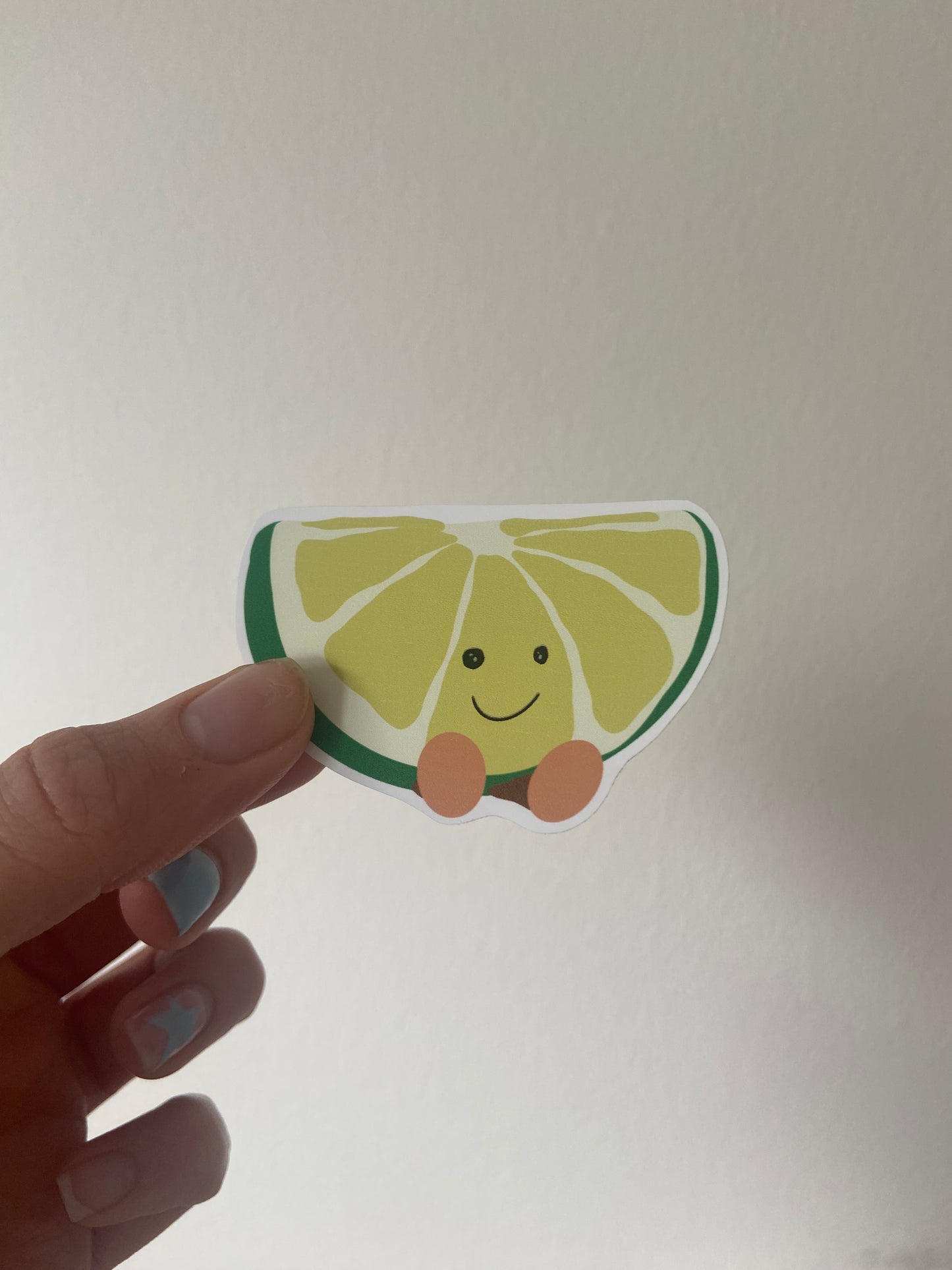 Summer fruit Matte sticker. Block colours. Cherry, lemon, lime & watermelon