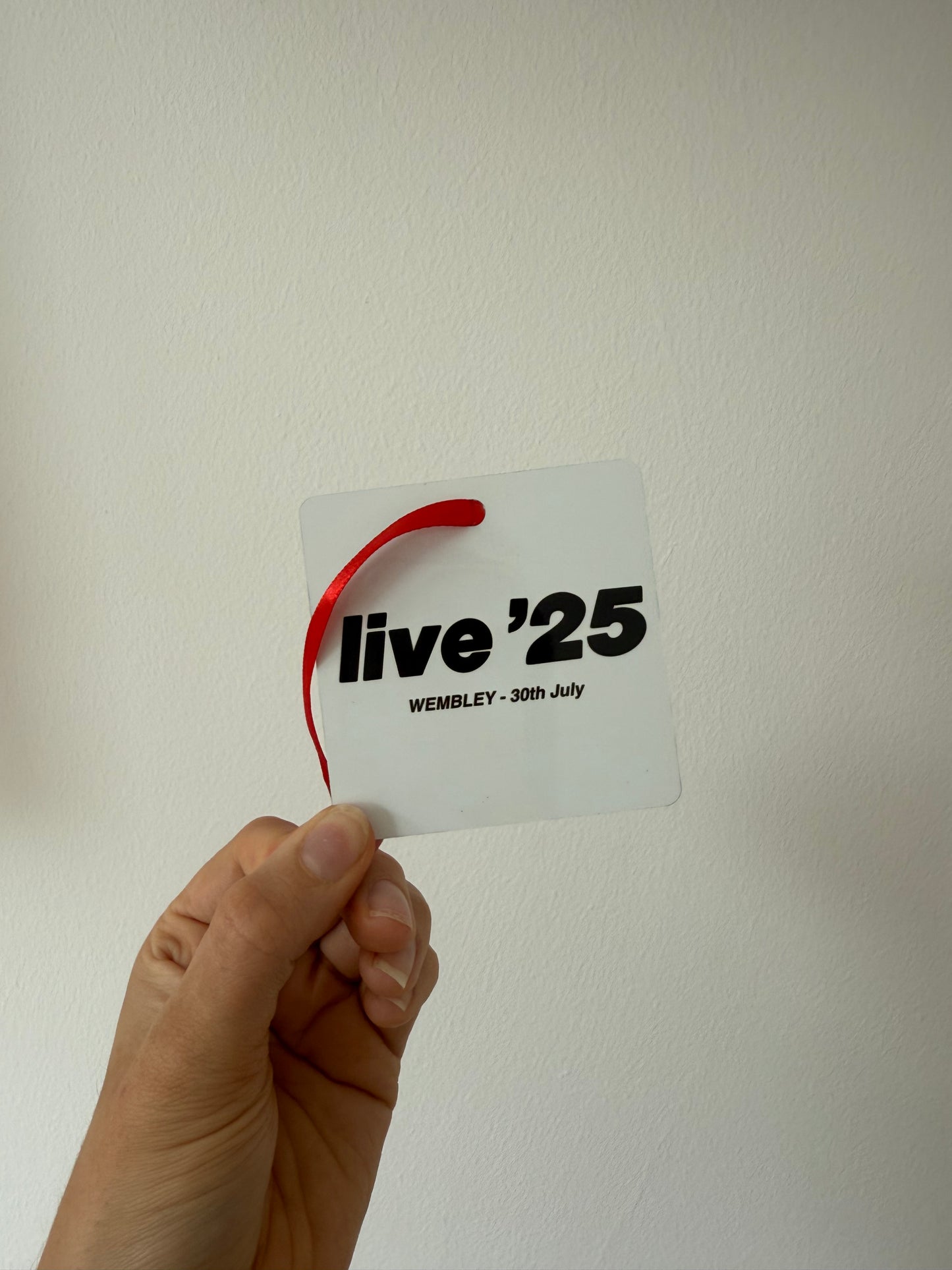 Custom Live ‘25 ornament. Oasis tour. Liam and Noel Gallagher