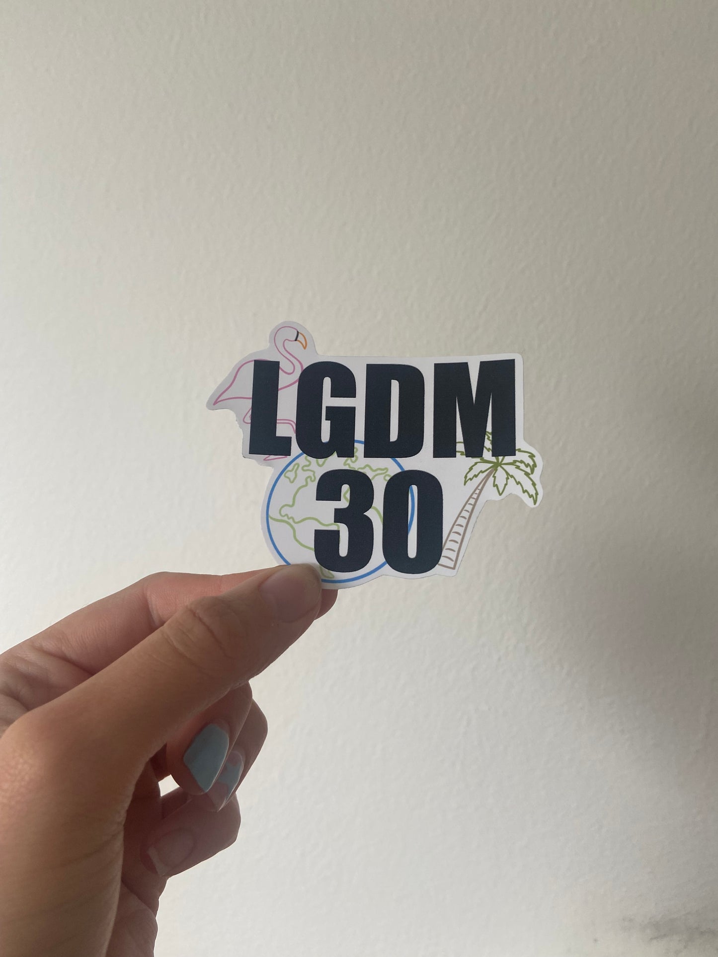 LGDM30 sticker. Matte sticker. Definitely Maybe 2024 tour