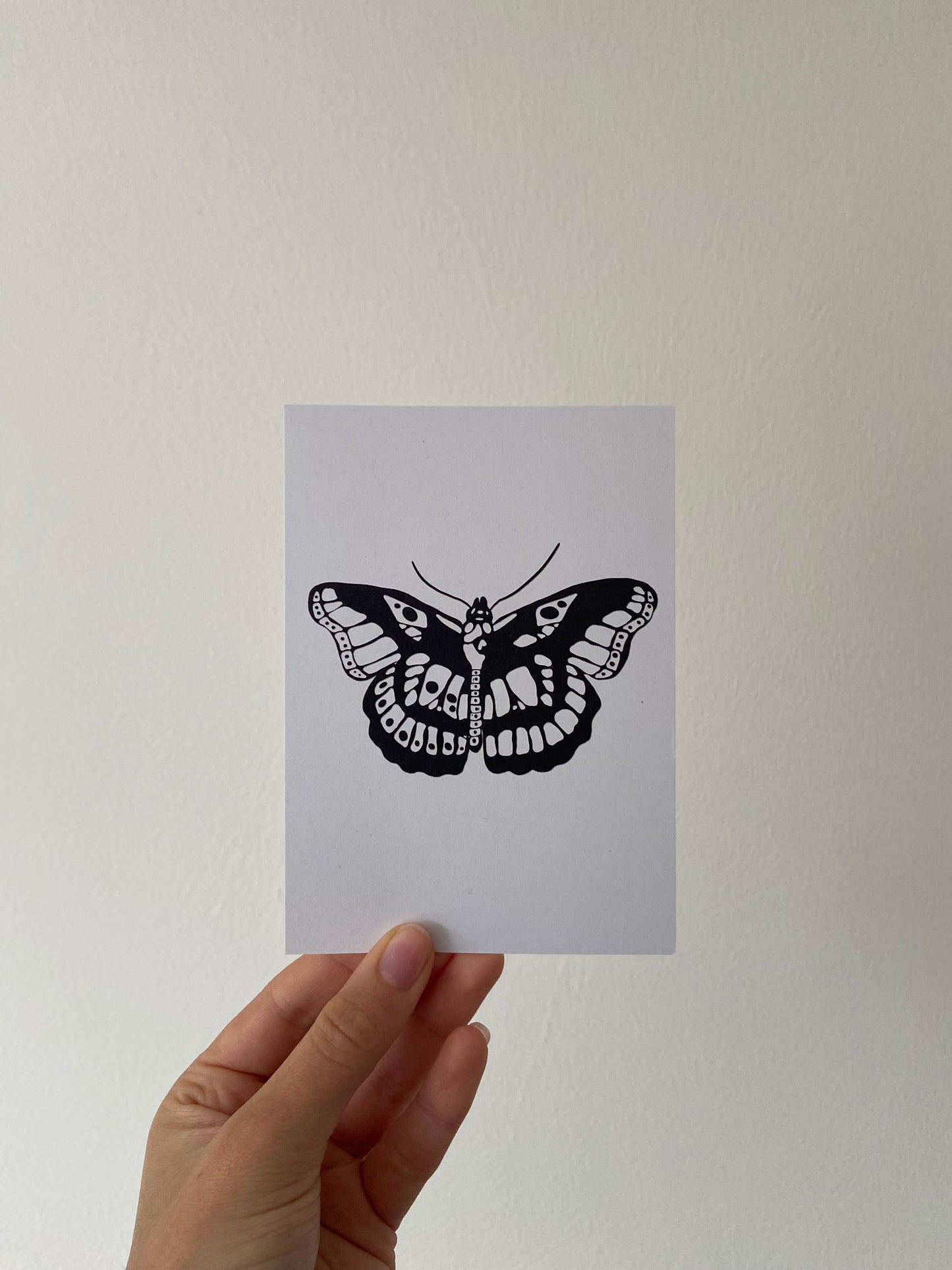 Moth tattoo postcard.