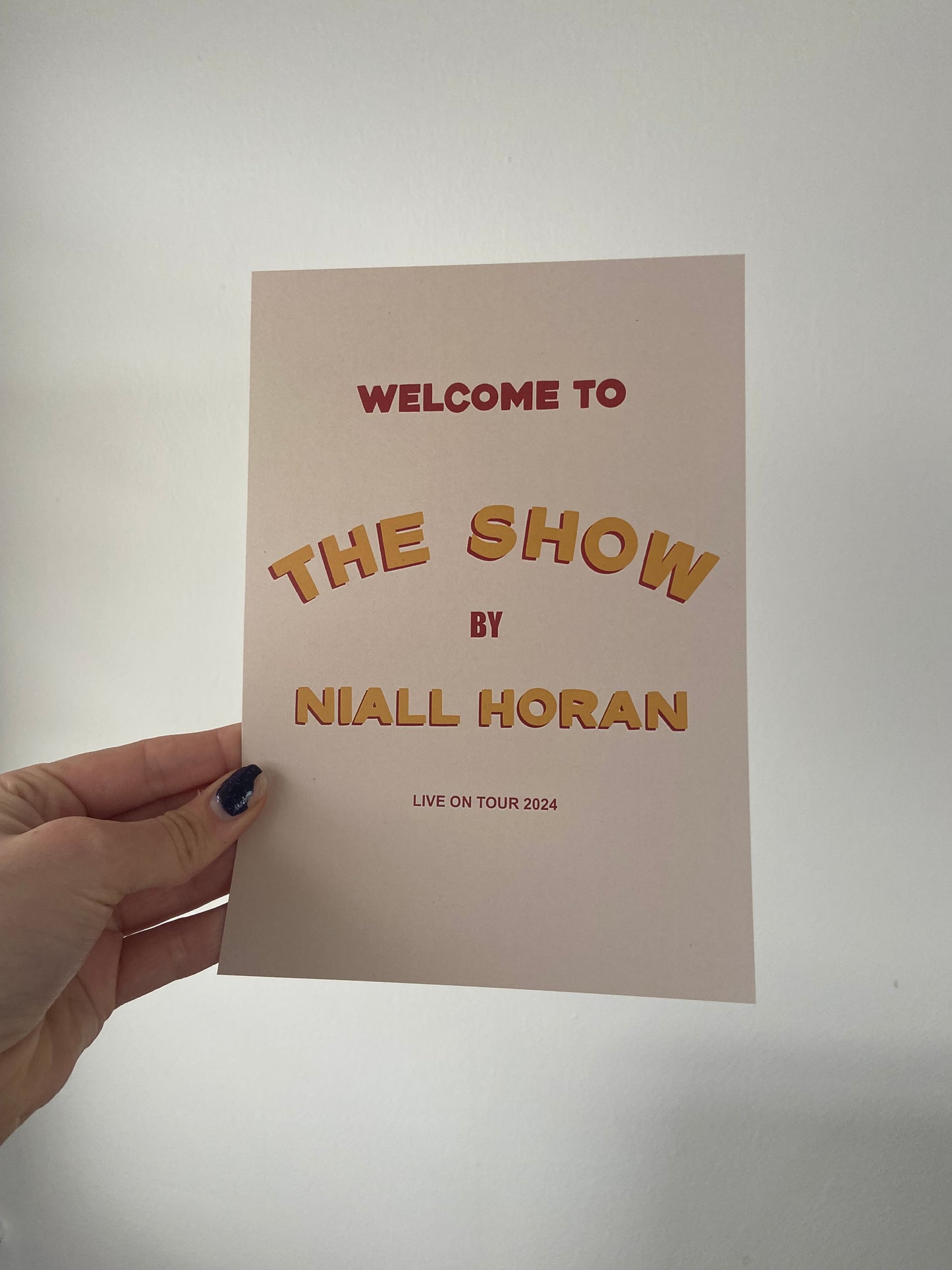 The Show Live on Tour, 2024 A5 print. Niall