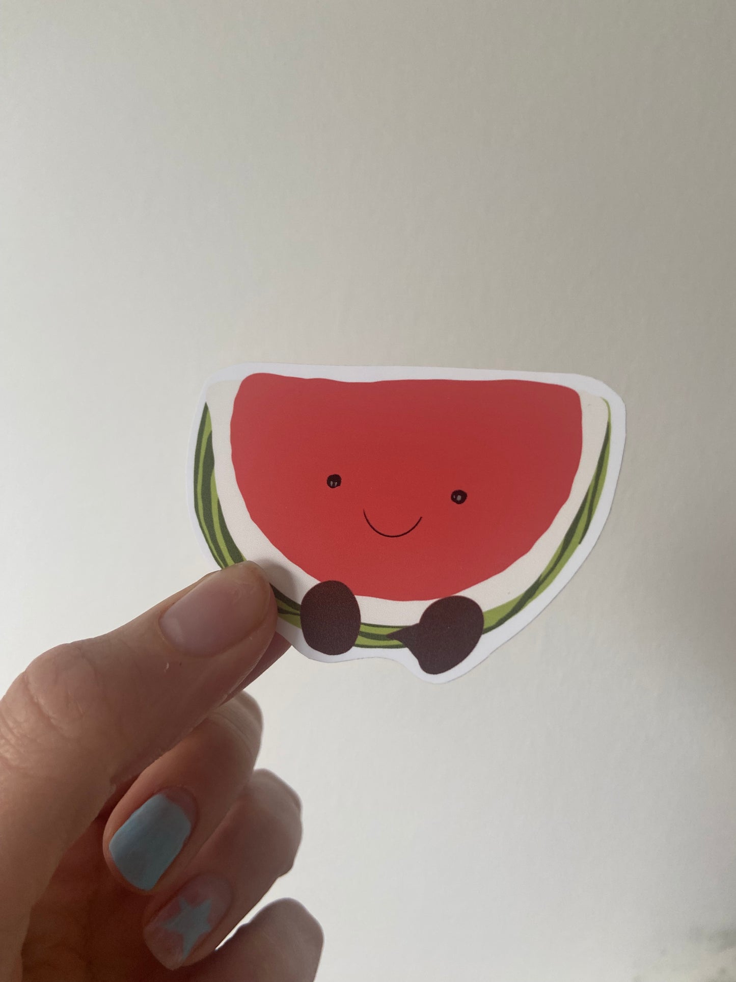 Summer fruit Matte sticker. Block colours. Cherry, lemon, lime & watermelon