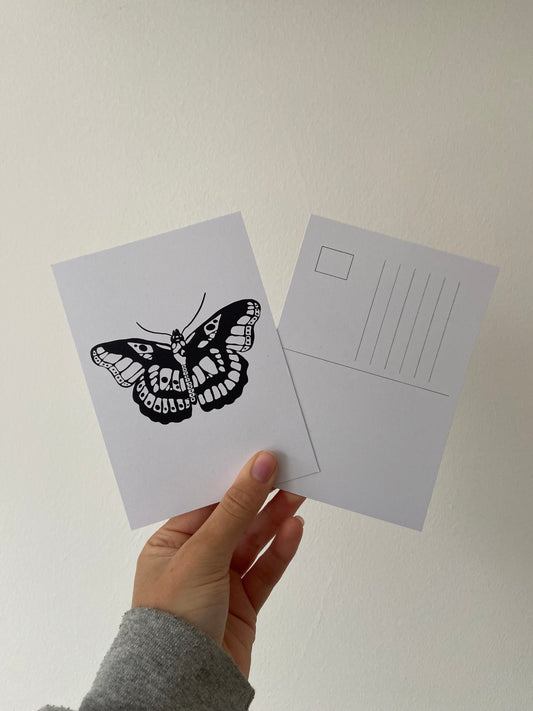 Moth tattoo postcard.